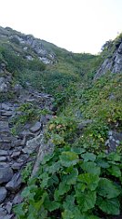 0256_TZ60_P1140387_cr