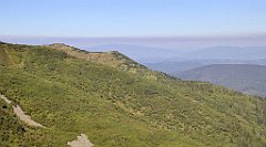 0280_TZ60_P1140405_cr