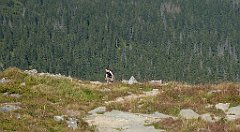 0351a_3D_P1110401_cr