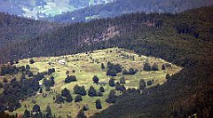 0453_TZ60_P1140530_cr