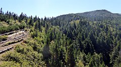 0568_TZ60_P1140549_cr