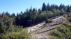 0584a_3D_P1110547_cr