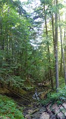 0613_TZ60_P1140574_cr