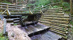 0620_TZ60_P1140578_cr