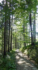 0639_TZ60_P1140581_cr