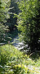 0641_TZ60_P1140583_cr