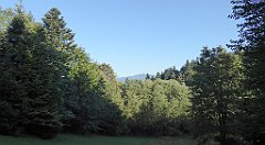 057_TZ60_P1140620_cr