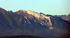 085_TZ60_P1140637_cr