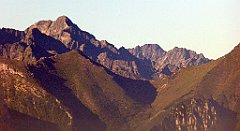 089_TZ60_P1140644_cr