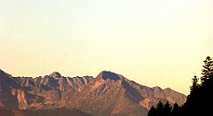 094_TZ60_P1140653_cr