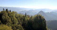 187_TZ60_P1140716_cr