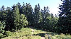 206_TZ60_P1140731_cr