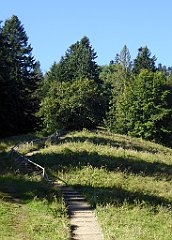 214_TZ60_P1140739_cr