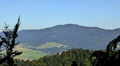 239_TZ60_P1140754_cr