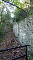 254_TZ60_P1140762_cr