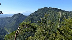 317_TZ60_P1140779_cr