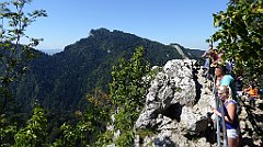 404_TZ60_P1140800_cr