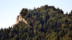 425_TZ60_P1140806_cr