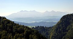 433_TZ60_P1140814_cr