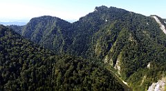 434_TZ60_P1140815_cr