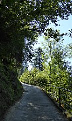 492_TZ60_P1140841_cr