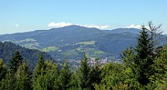 512_TZ60_P1140846_cr