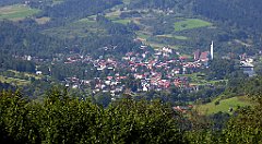 545_TZ60_P1140878_cr