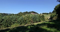 554_TZ60_P1140887_cr