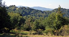 626_TZ60_P1140927_cr