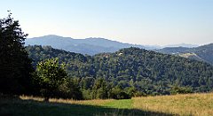 639_TZ60_P1140934_cr