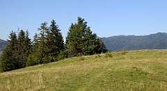 641_TZ60_P1140938_cr