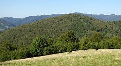 697_TZ60_P1140977_cr