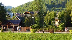 874_TZ60_P1150008_cr