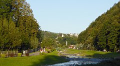 876_TZ60_P1150010_cr