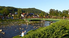 883_TZ60_P1150017_cr