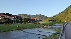 889_TZ60_P1150022_cr