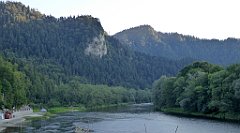 903_TZ60_P1150036_cr