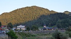 917_TZ60_P1150049_cr