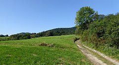 116_TZ60_P1150144_cr