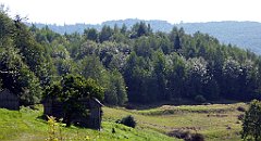 156_TZ60_P1150154_cr