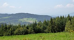 164_TZ60_P1150165_cr