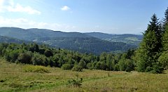 172_TZ60_P1150169_cr