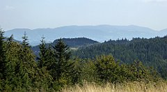 177_TZ60_P1150175_cr