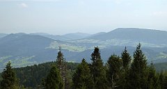 193_TZ60_P1150189_cr