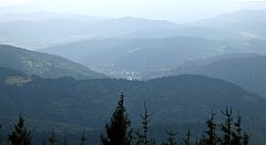 209_TZ60_P1150206_cr