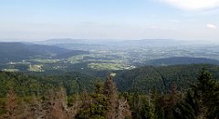 212_TZ60_P1150209_cr