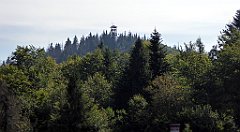 240_TZ60_P1150222_cr