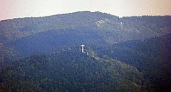 261_TZ60_P1150232_cr