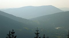 318_TZ60_P1150238_cr