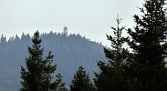 354_TZ60_P1150266_cr